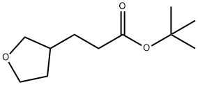 tert-butyl 3-(tetrahydrofuran-3-yl)propanoate 结构式
