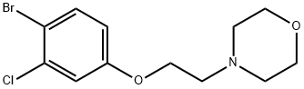 4-(2-(4-bromo-3-chlorophenoxy)ethyl)morpholine 结构式
