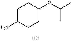 4-(丙烷-2-氧基)环己烷-1-胺盐酸 结构式