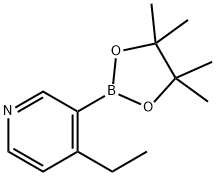 4-乙基吡啶-3-硼酸频哪醇酯 结构式