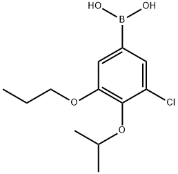 3-氯-4-异丙氧基-5-丙氧基苯基硼酸 结构式