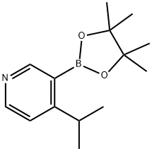 4-(iso-Propyl)pyridine-3-boronic acid pinacol ester 结构式