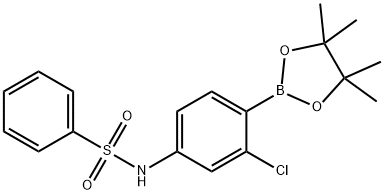 2-氯-4-(苯磺酰氨基)苯硼酸频哪醇酯 结构式