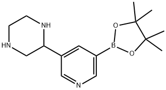 2-(5-(4,4,5,5-tetramethyl-1,3,2-dioxaborolan-2-yl)pyridin-3-yl)piperazine 结构式