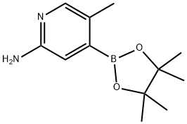 5-甲基-4-(4,4,5,5-四甲基-1,3,2-二氧杂硼烷-2-基)吡啶-2-胺 结构式