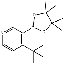4-(tert-Butyl)pyridine-3-boronic acid pinacol ester 结构式
