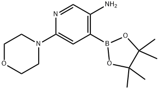 3-Amino-6-(morpholino)pyridine-4-boronic acid pinacol ester 结构式