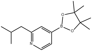 2-(iso-Butyl)pyridine-4-boronic acid pinacol ester 结构式