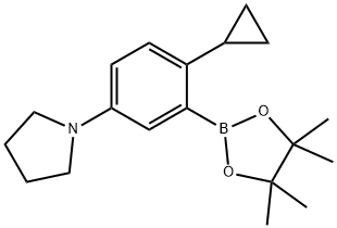 2-Cyclopropyl-5-(pyrrolidino)phenylboronic acid pinacol ester 结构式