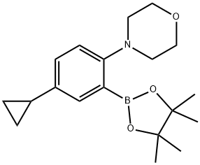 4-(4-cyclopropyl-2-(4,4,5,5-tetramethyl-1,3,2-dioxaborolan-2-yl)phenyl)morpholine 结构式
