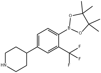 4-(4-(4,4,5,5-tetramethyl-1,3,2-dioxaborolan-2-yl)-3-(trifluoromethyl)phenyl)piperidine 结构式