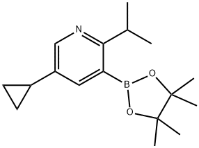 2-(iso-Propyl)-5-cyclopropylpyridine-3-boronic acid pinacol ester 结构式