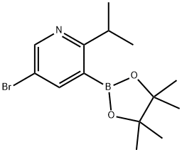 5-Bromo-2-(iso-propyl)pyridine-3-boronic acid pinacol ester 结构式