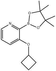 3-(Cyclobutoxy)pyridine-2-boronic acid pinacol ester 结构式