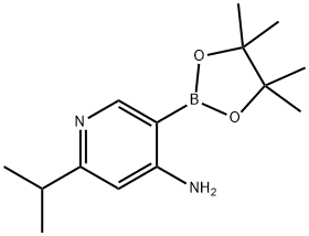 2-isopropyl-5-(4,4,5,5-tetramethyl-1,3,2-dioxaborolan-2-yl)pyridin-4-amine 结构式