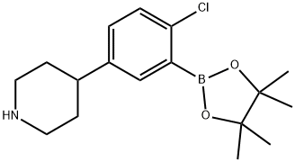 4-(4-chloro-3-(4,4,5,5-tetramethyl-1,3,2-dioxaborolan-2-yl)phenyl)piperidine 结构式