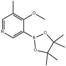5-Methyl-4-methoxypyridine-3-boronic acid pinacol ester 结构式
