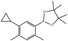 2,4-Dimethyl-5-cyclopropylphenylboronic acid pinacol ester 结构式