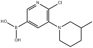 6-Chloro-5-(3-methylpiperidin-1-yl)pyridine-3-boronic acid 结构式