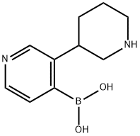 3-(Piperidin-3-yl)pyridine-4-boronic acid 结构式