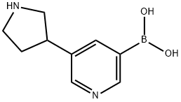 3-(PYRROLIDIN-3-YL)PYRIDINE-5-BORONIC ACID 结构式