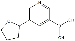 5-(2-TETRAHYDROFURANYL)PYRIDINE-3-BORONIC ACID 结构式