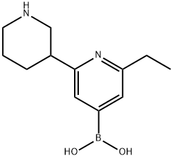 2-Ethyl-6-(piperidin-3-yl)pyridine-4-boronic acid 结构式