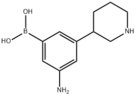 3-(Piperidin-3-yl)-5-aminophenylboronic acid 结构式