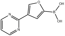 4-(Pyrimidin-2-yl)furan-2-boronic acid 结构式