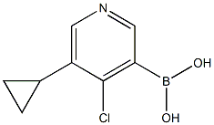 (4-氯-5-环丙基吡啶-3-基)硼酸 结构式