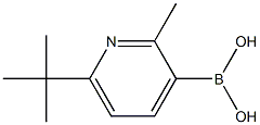 2-Methyl-6-(tert-butyl)pyridine-3-boronic acid 结构式