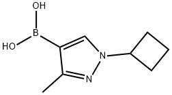 3-Methyl-1-(cyclobutyl)pyrazole-4-boronic acid 结构式