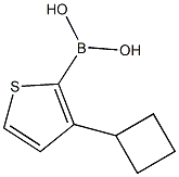 (3-环丁基噻吩-2-基)硼酸 结构式