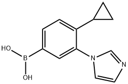 4-Cyclopropyl-3-(1H-imidazol-1-yl)phenylboronic acid 结构式