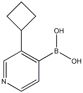 3-(Cyclobutyl)pyridine-4-boronic acid 结构式