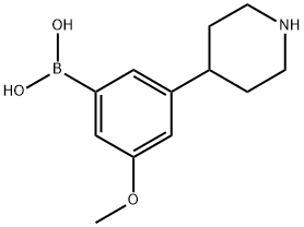 3-Methoxy-5-(piperidin-4-yl)phenylboronic acid 结构式