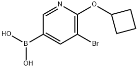 5-Bromo-6-cyclobutoxypyridine-3-boronic acid 结构式