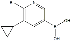 6-Bromo-5-(cyclopropyl)pyridine-3-boronic acid 结构式