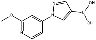 1-(2-Methoxy-4-pyridyl)-1H-pyrazole-4-boronic acid 结构式