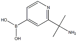 (2-(2-aminopropan-2-yl)pyridin-4-yl)boronic acid 结构式