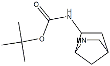 N-[(1R,4S,6S)-2-氮杂双环[2.2.1]庚-6-6基]氨基甲酸叔丁酯 结构式