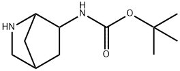 N-(2-氮杂双环[2.2.1]庚烷-6-基)氨基甲酸叔丁酯 结构式