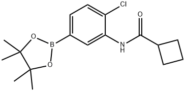 4-氯-3-(环丁基甲酰氨基)苯硼酸频哪醇酯 结构式