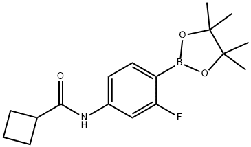 2-氟-4-(环丁基甲酰胺基)苯基硼酸频哪醇酯 结构式