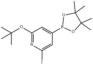 2-(tert-butoxy)-6-iodo-4-(4,4,5,5-tetramethyl-1,3,2-dioxaborolan-2-yl)pyridine 结构式