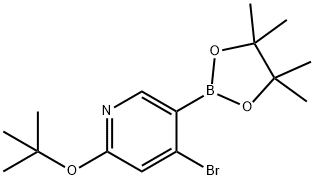 4-bromo-2-(tert-butoxy)-5-(4,4,5,5-tetramethyl-1,3,2-dioxaborolan-2-yl)pyridine 结构式