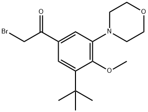 Ethanone, 2-broMo-1-[3-(1,1-diMethylethyl)-4-Methoxy-5-(4-Morpholinyl)phenyl]- 结构式