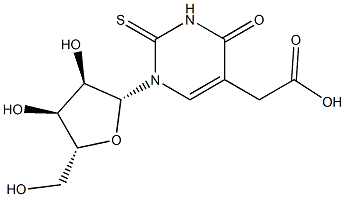 5-Carboxymethyl-2-thiouridine 结构式