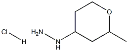 (2-甲基噁烷-4-基)肼盐酸 结构式