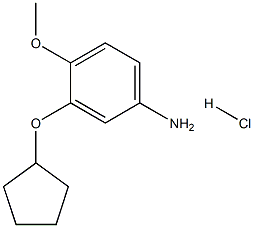 3-(环戊氧基)-4-甲氧基苯胺盐酸 结构式